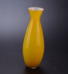 Color vase SC018