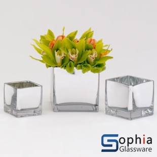 Silver Glass Sqaure Vases