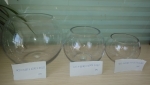 Fish bowl, bubble ball, glass ball SQ107