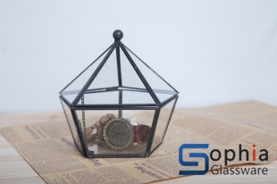 Terrariums SHF028