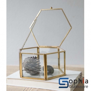 Terrariums SHF031