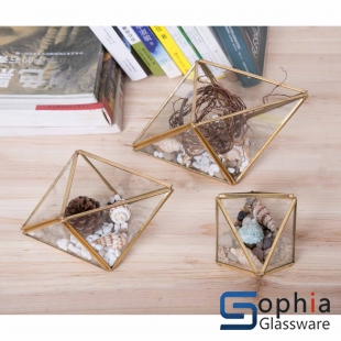 Terrariums SHF039