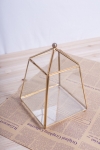 Terrariums SHF037