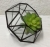 Terrariums SHF006