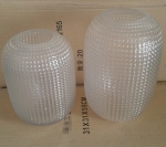 Glass Vases SYT180