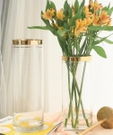 glass vases